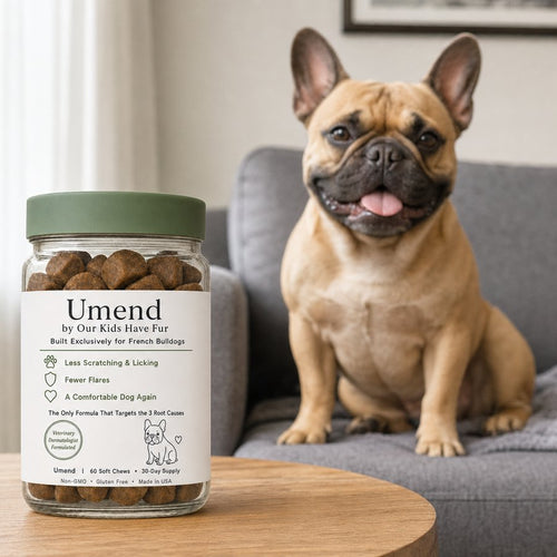Umend supplement jar with happy French Bulldog